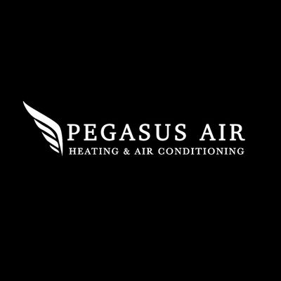 Avatar for Pegasus Air