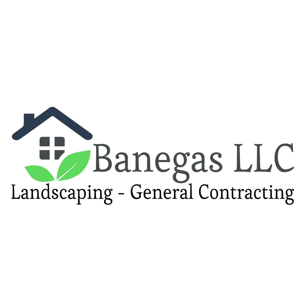 Banegas LLC