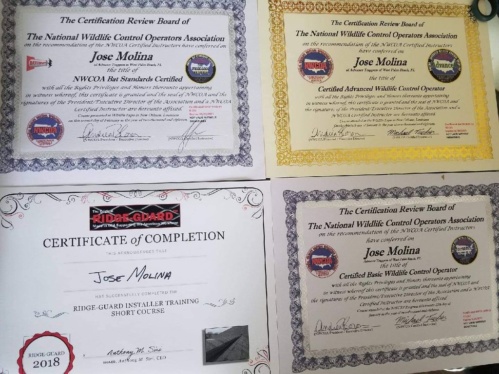 Projects and media