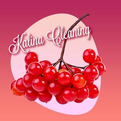 Avatar for Kalina Cleaning