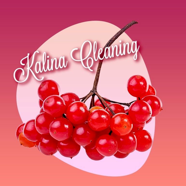 Kalina Cleaning