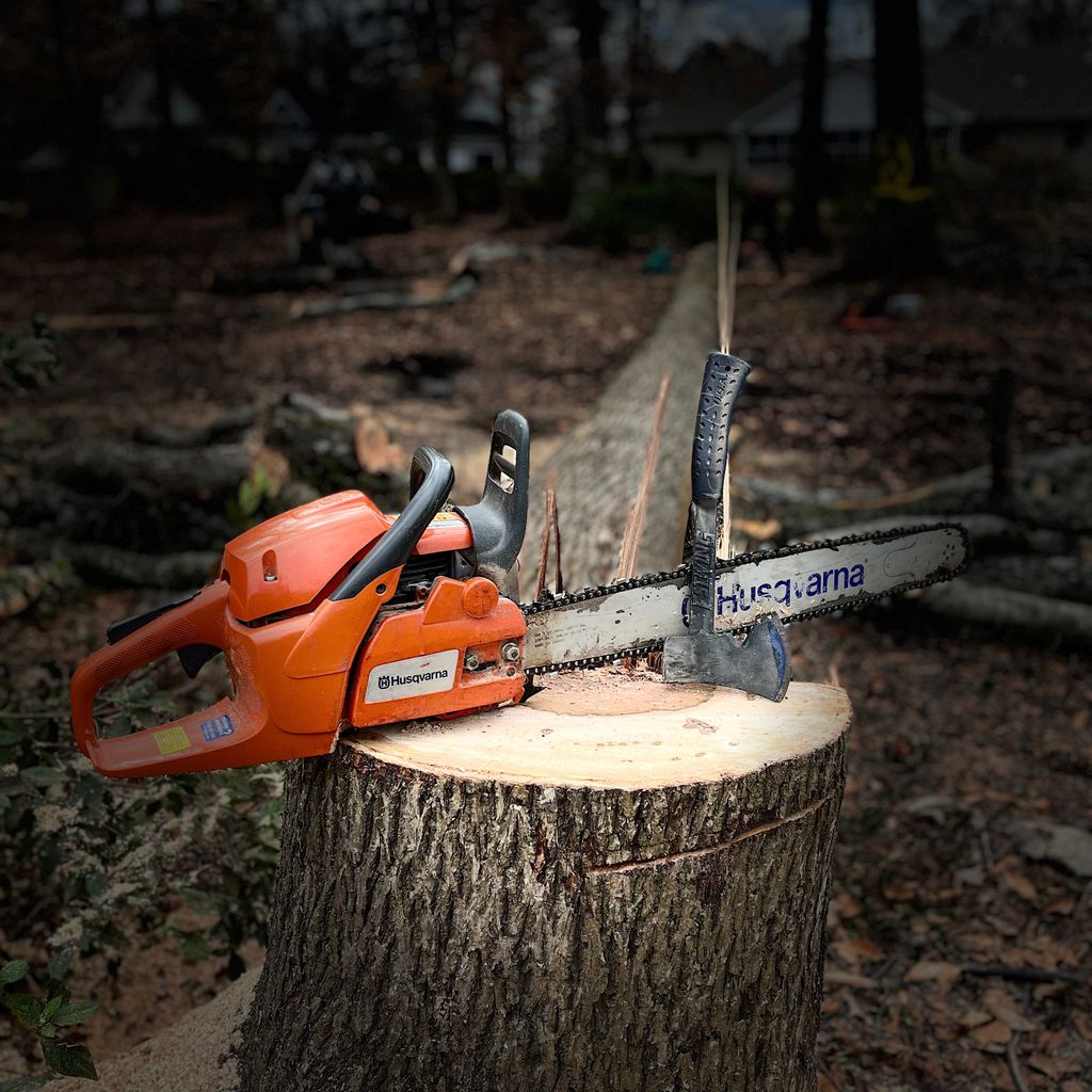 Timber Dogs Tree Services