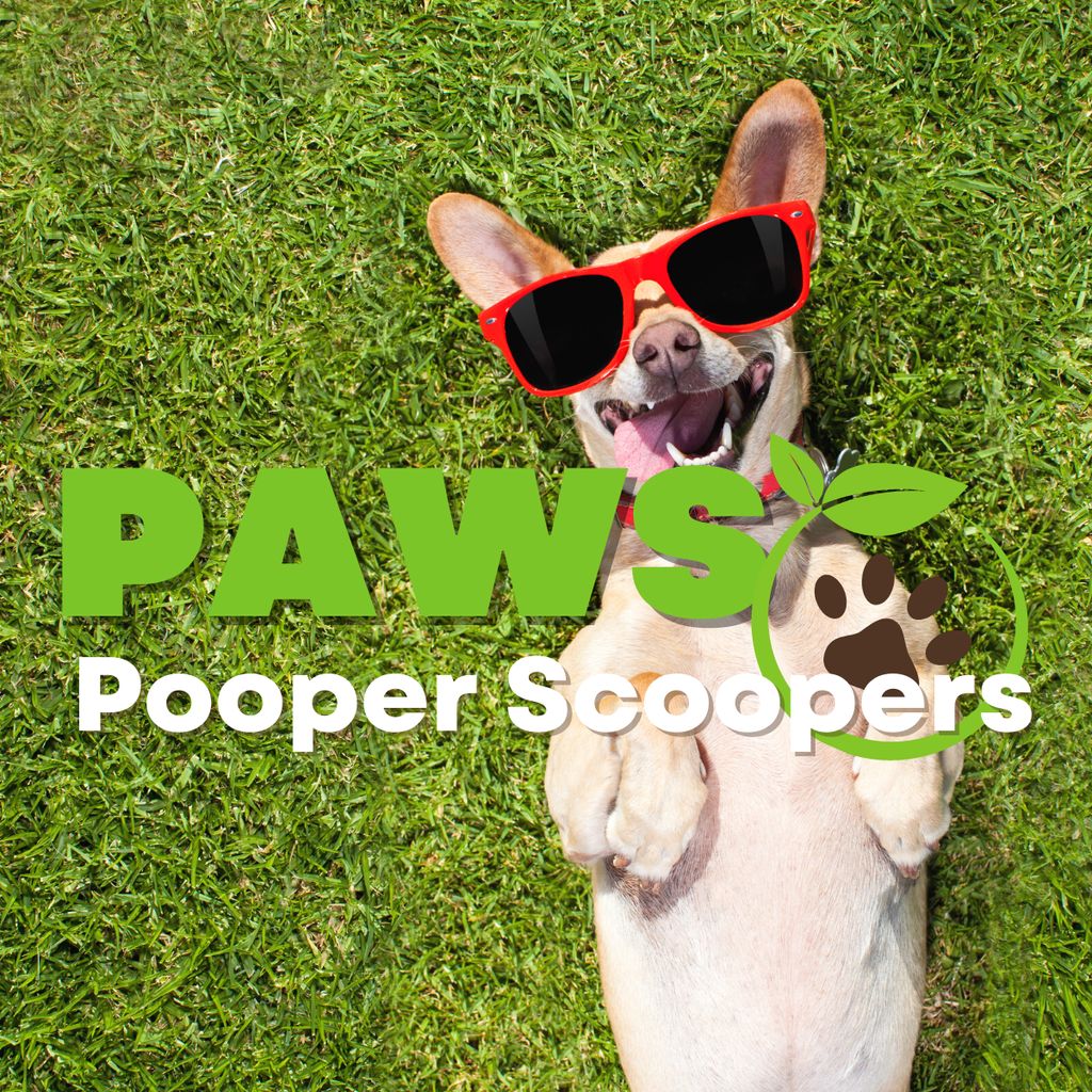 pet waste removal services #scoopthatpoop 
