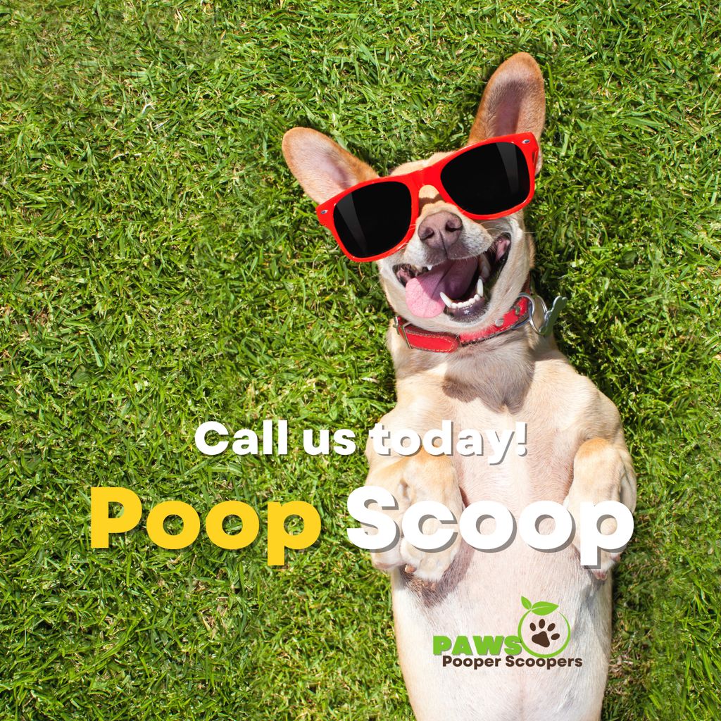 pet waste removal services #scoopthatpoop 