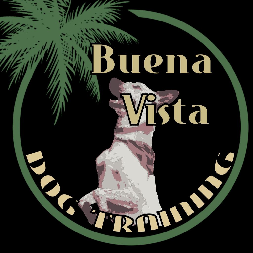 Buena Vista Dog Training LLC