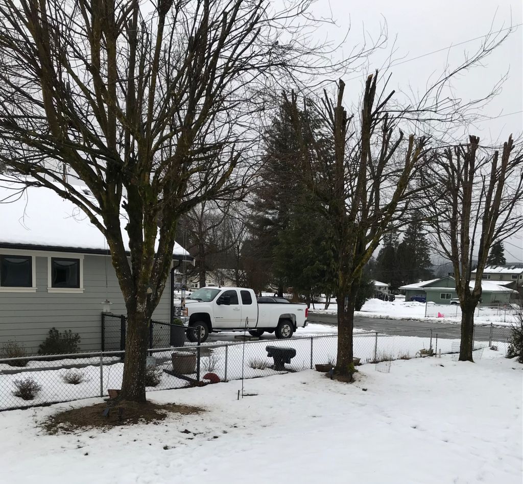 We were pleased with the trimming of our trees.  T