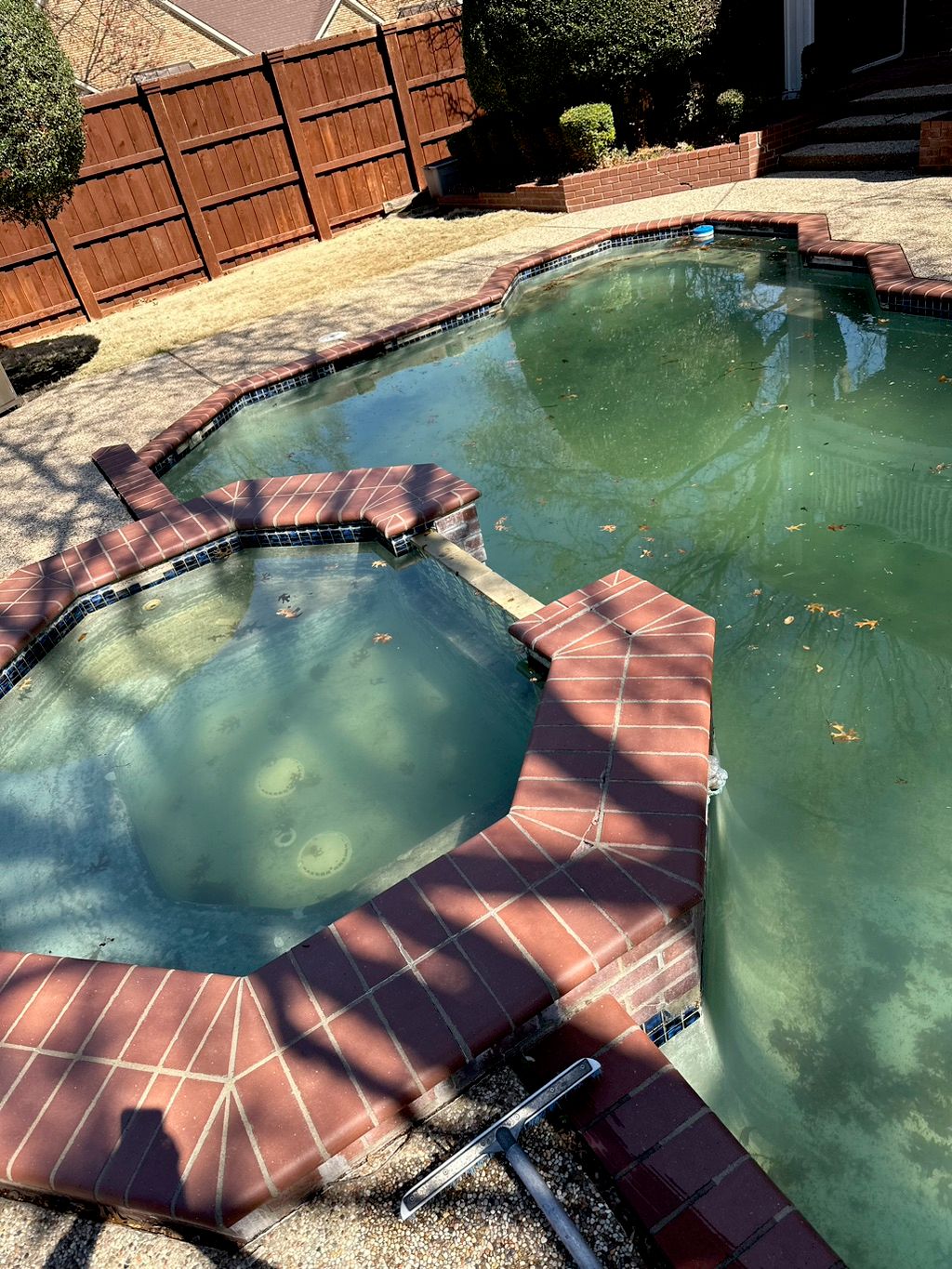 I LOVED Roberto, he completely transformed my pool