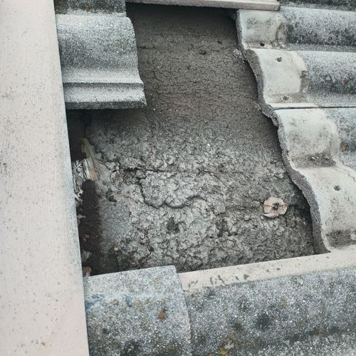 Roof Repair or Maintenance
