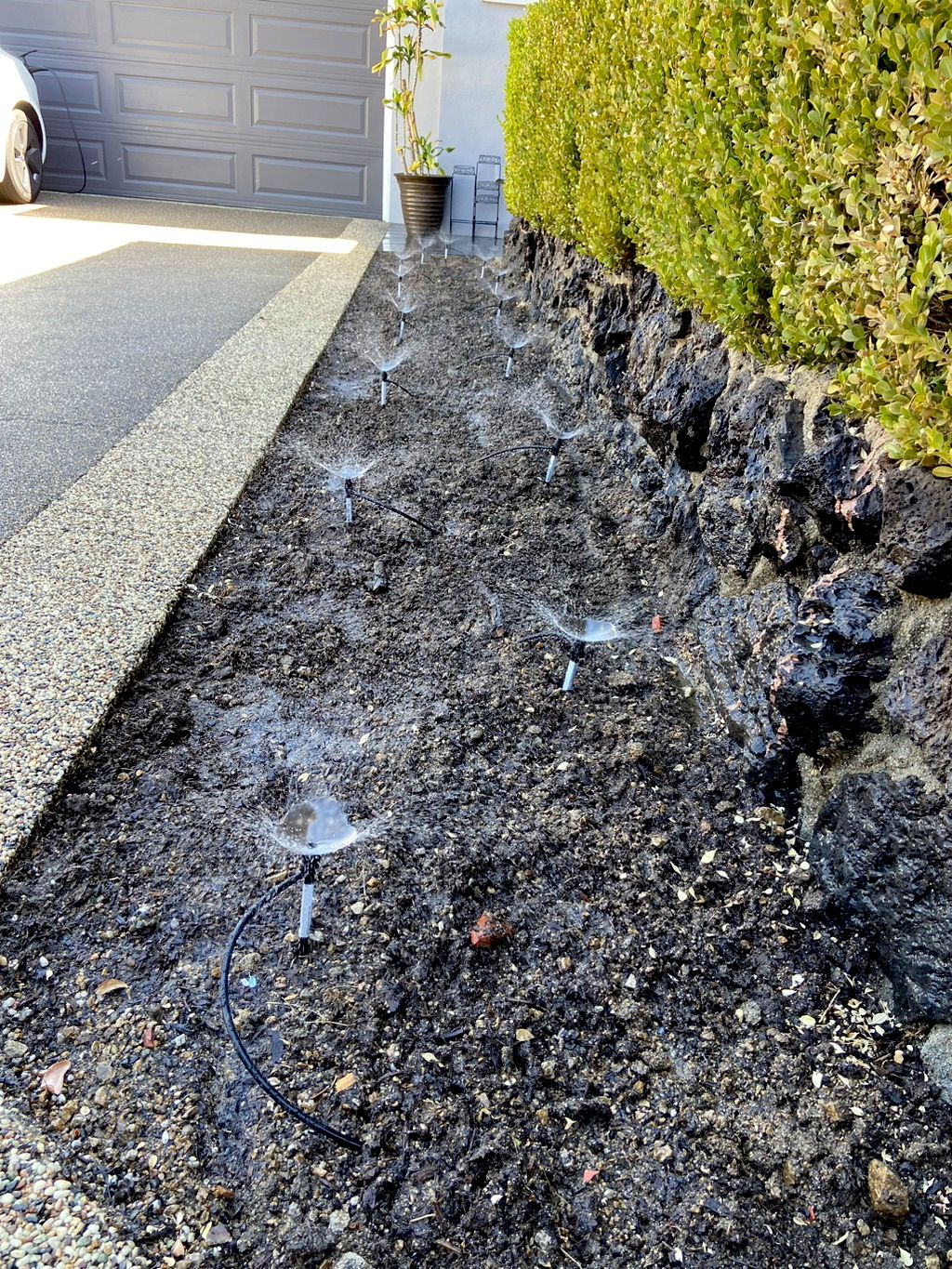 After installing new mini sprinklers/drip.
