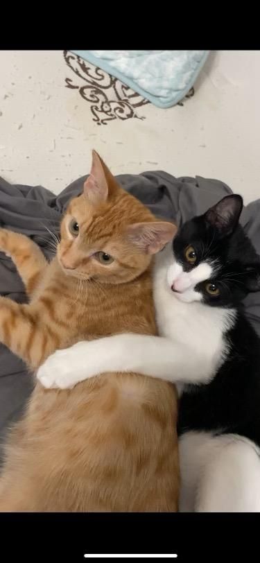 Peter and Tobey