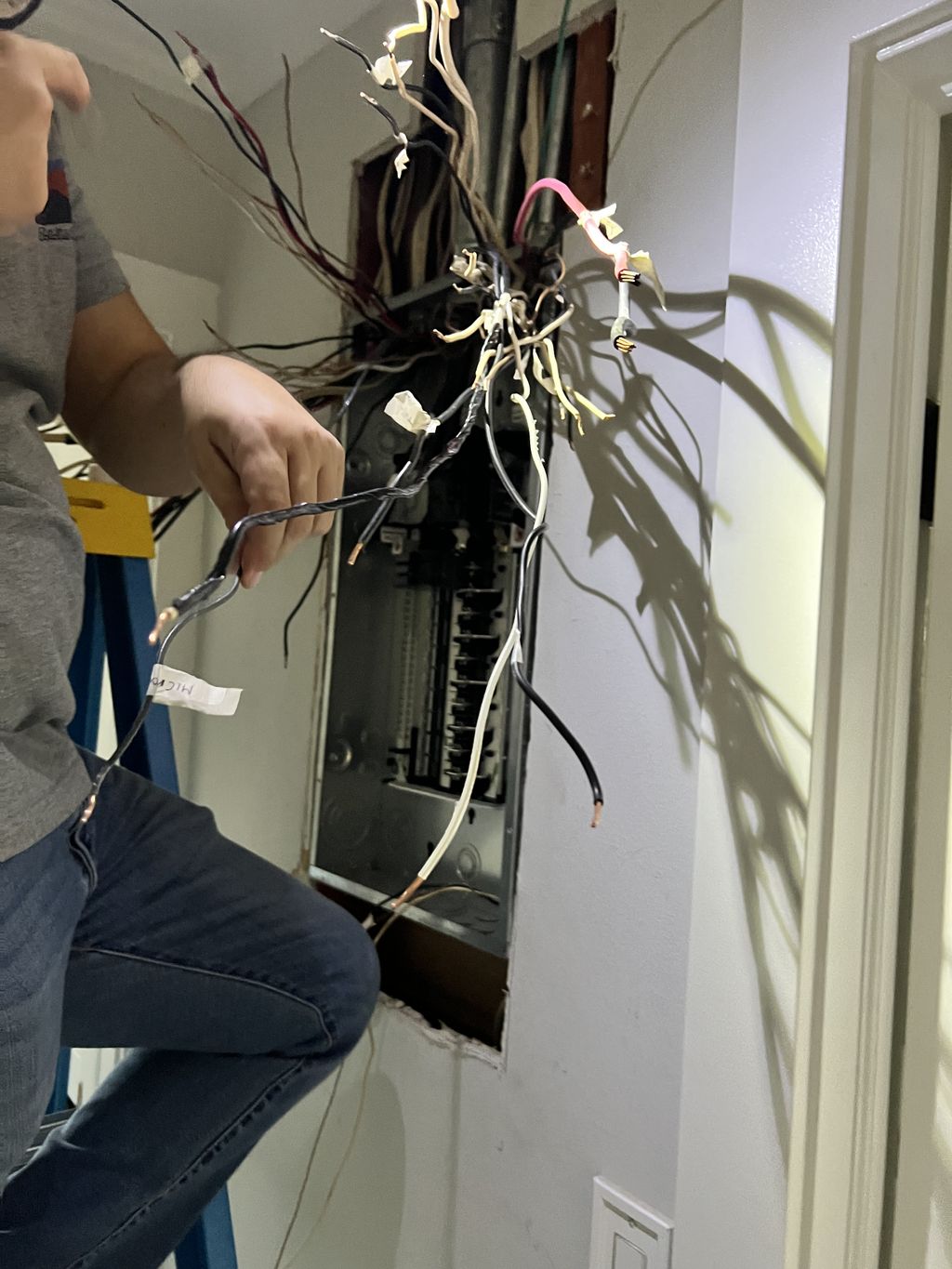Projects and media
