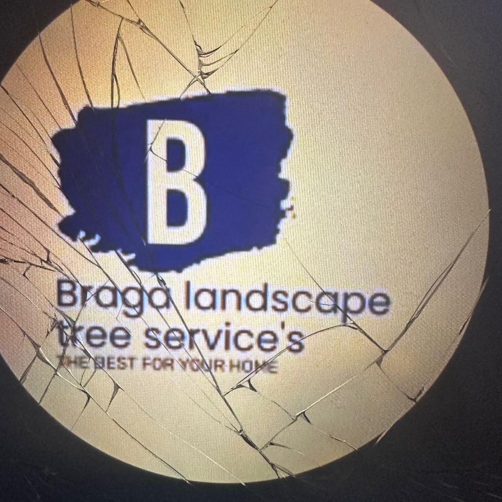 Braga Landscape e tree service tree removal