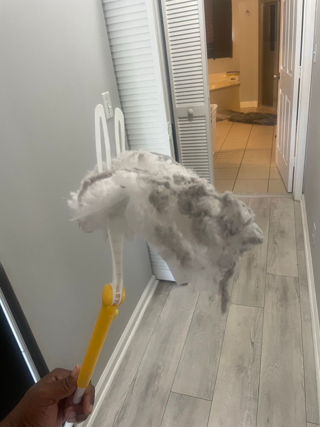 Post construction dust. 