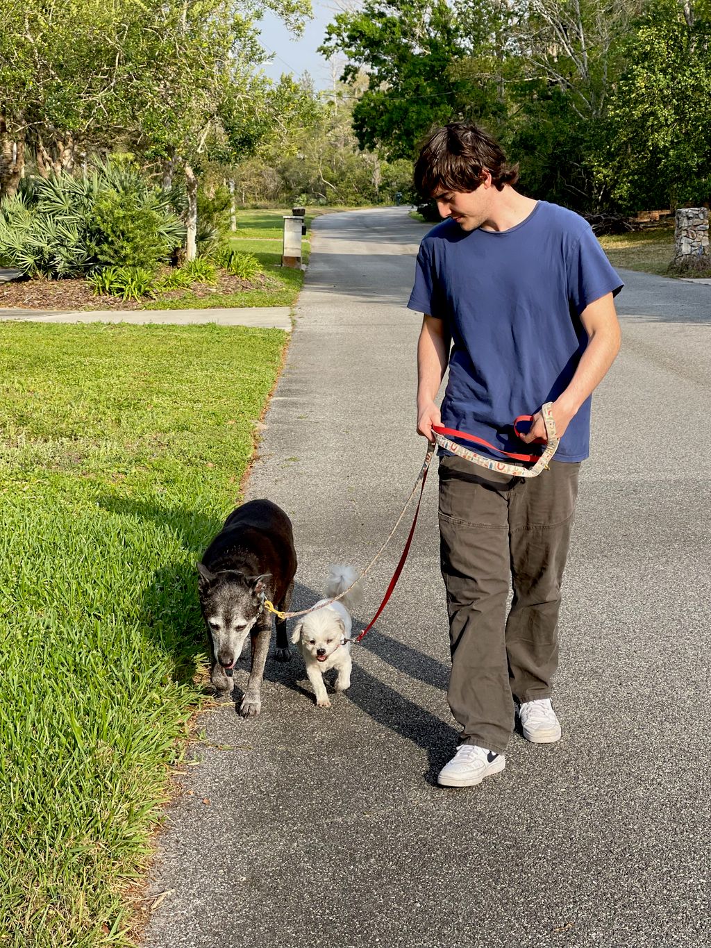 North Brevard Dog Walking & Pet Sitting
