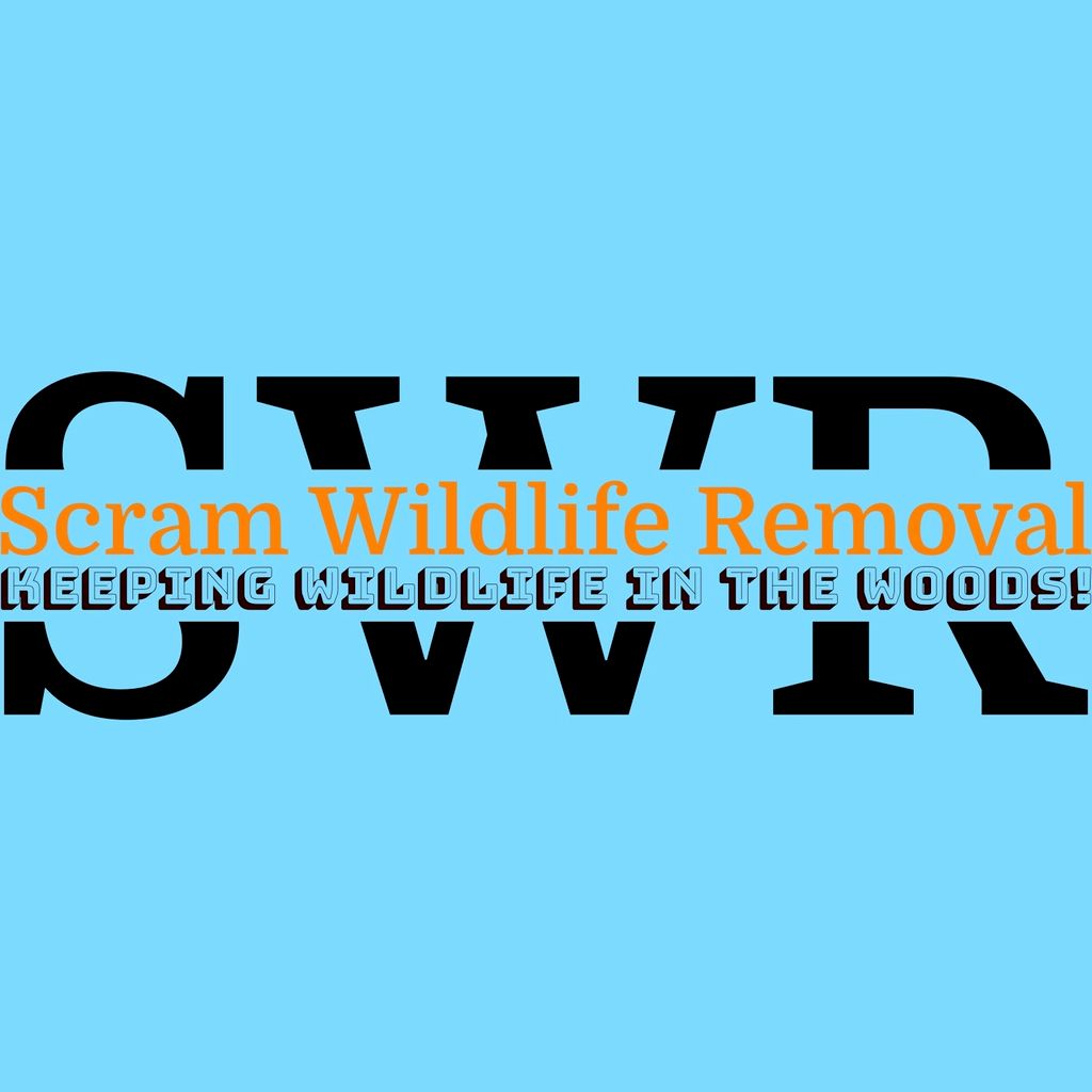 Scram Wildlife Removal