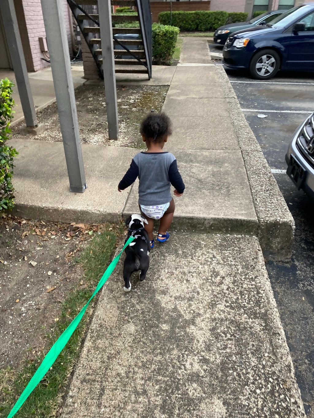 Taking Dak for a walk 🐶