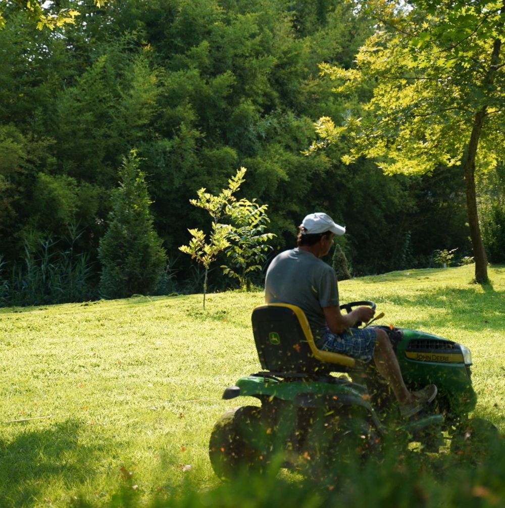 Full Service Lawn Care