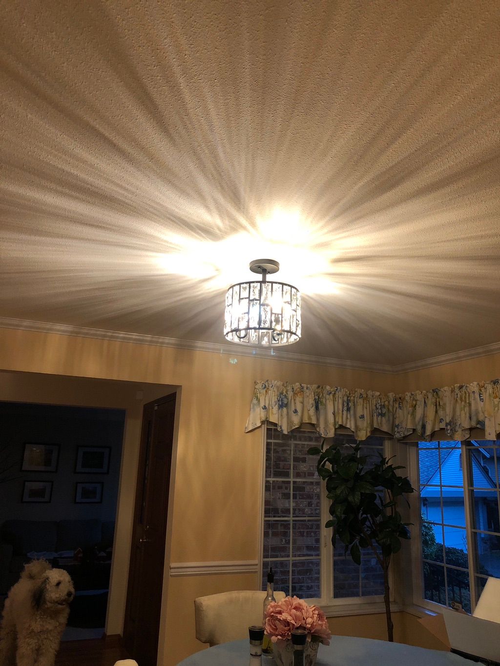 Customer photos