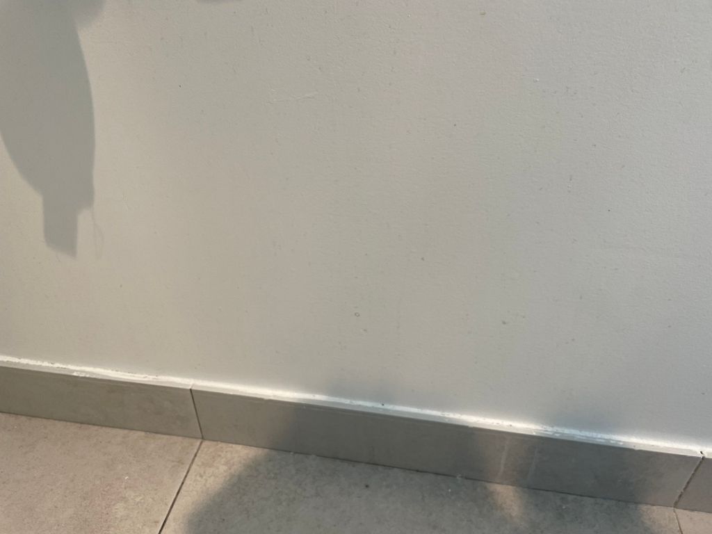 During (not pictured - Mr. clean the walls..bathro