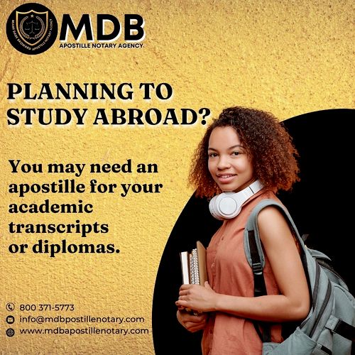 Do you plan to study abroad?