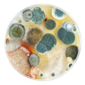 Avatar for Legacy Environmental
