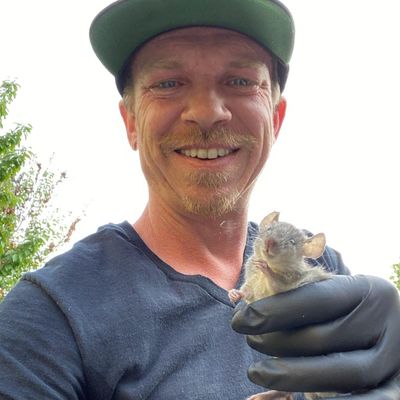 Avatar for Simply Rodents