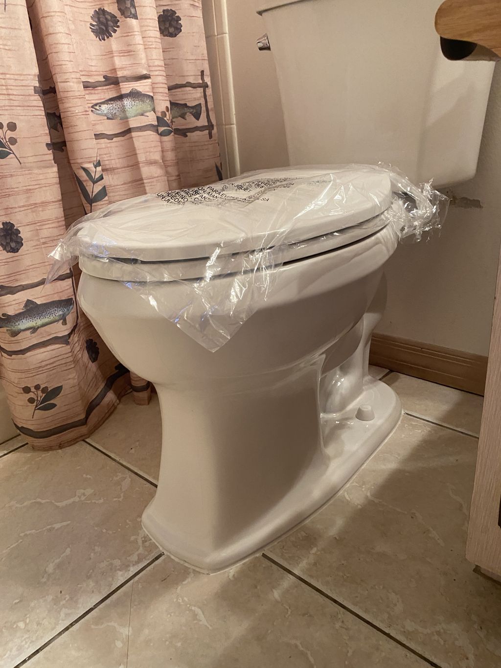 Toilet Installation or Replacement