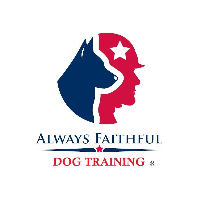Always Faithful Dog Training of Pittsburgh