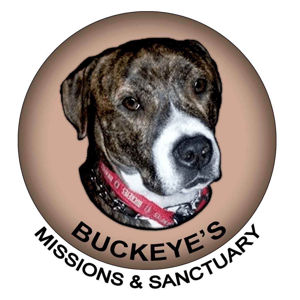 Buckeye's Mission