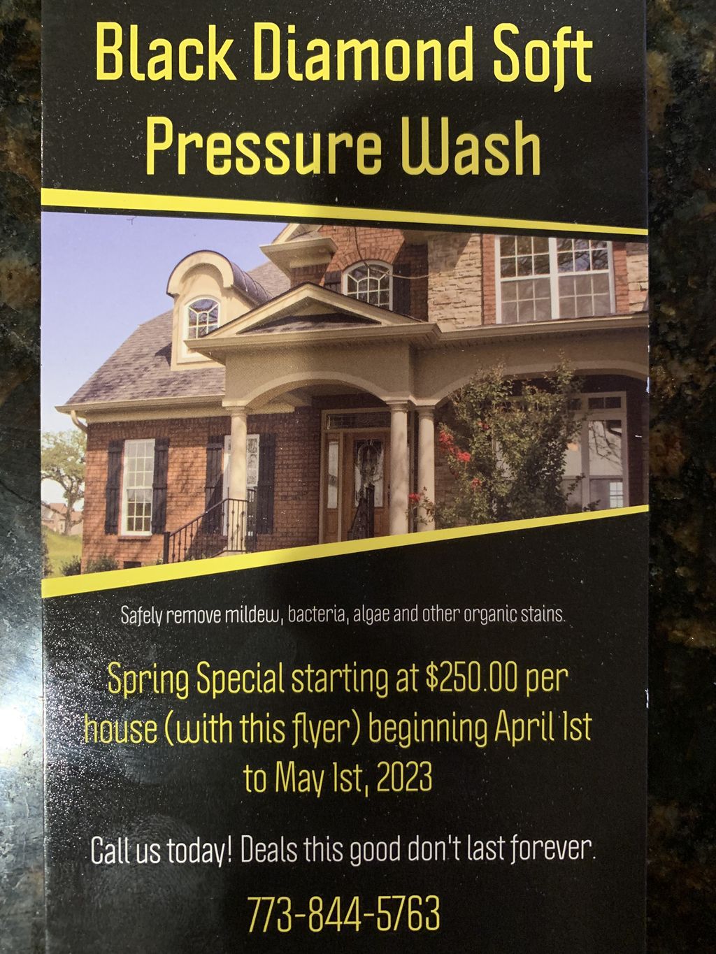 Spring Special