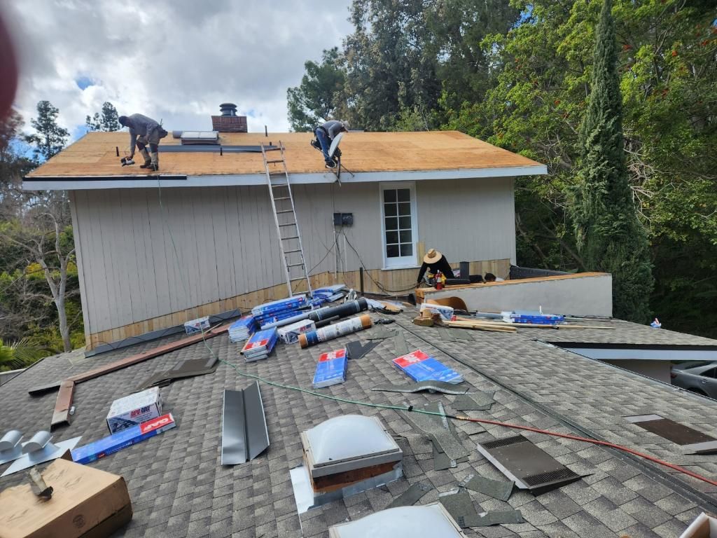 Projects and media