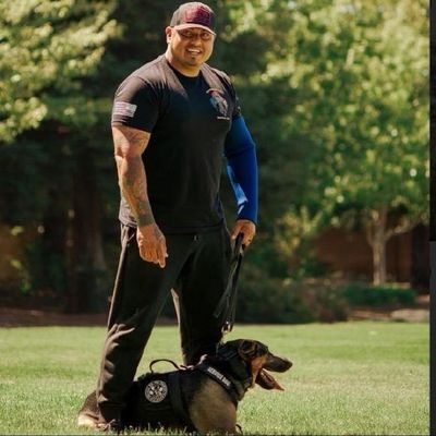 Avatar for Tactical K9s All Dog Training