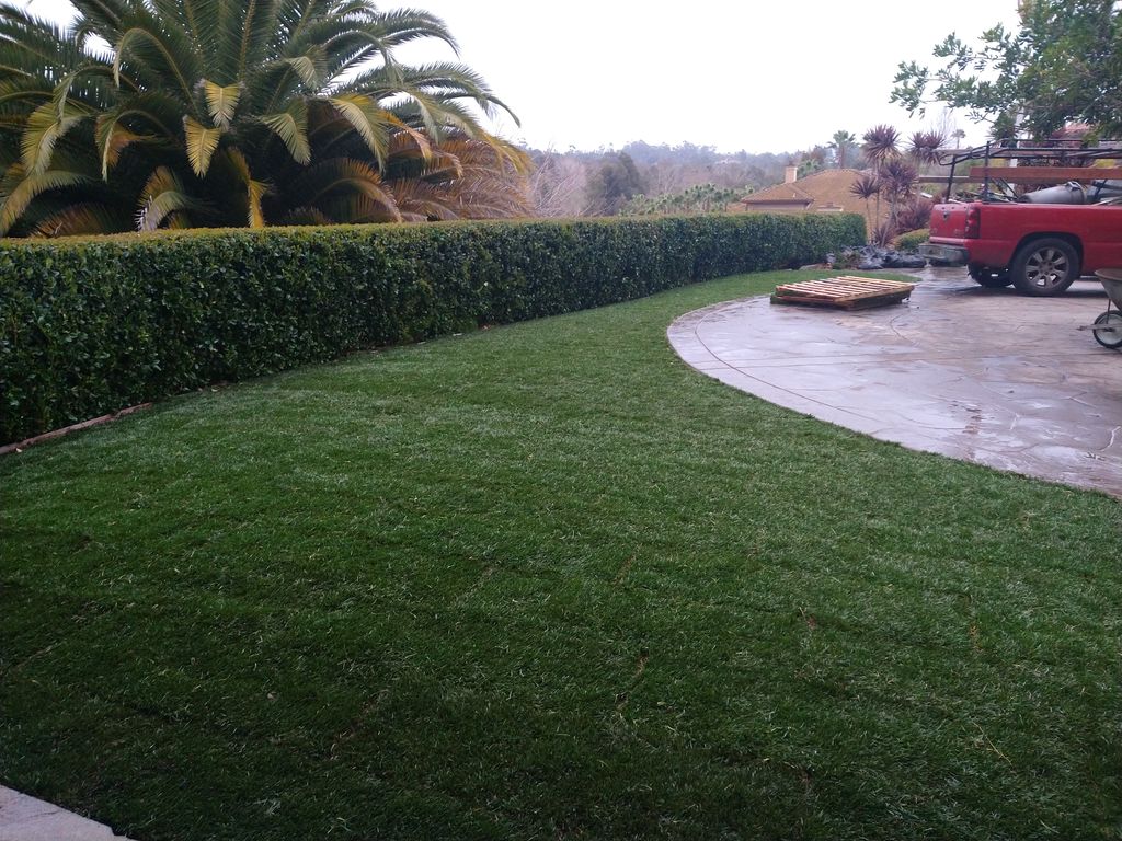 Sod Installation