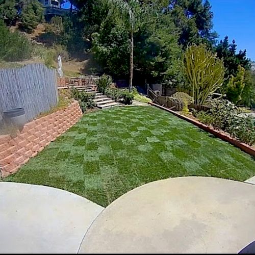 Featured Projects