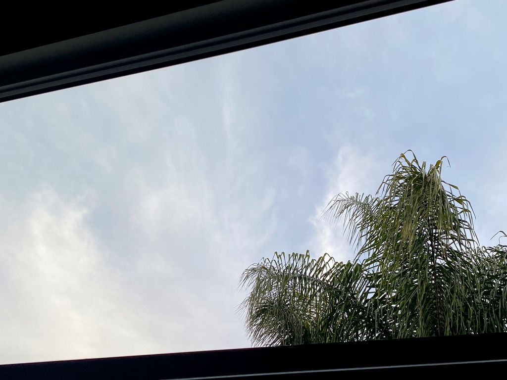 Crystal clear view☑️