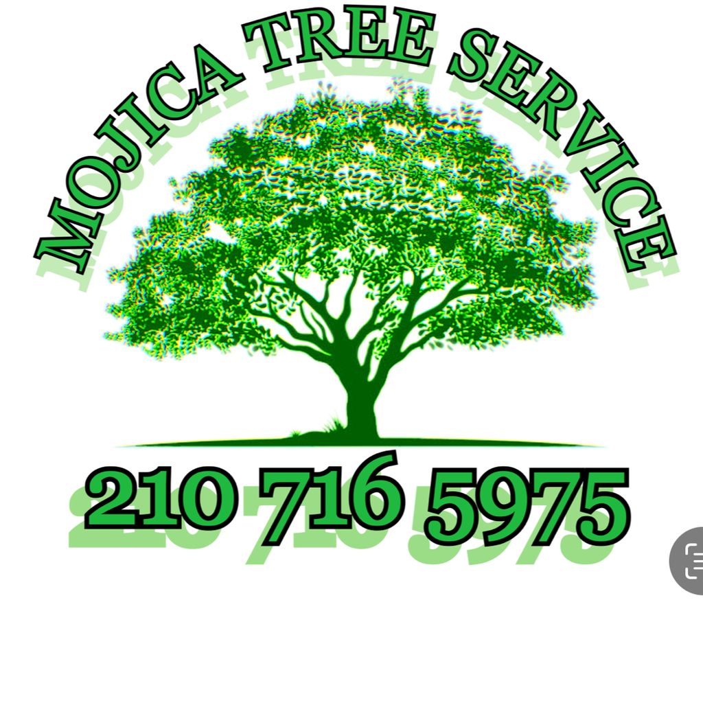 Mojica Tree Service & Land Clearing