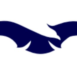 Eagle Eye Cleaning LLC