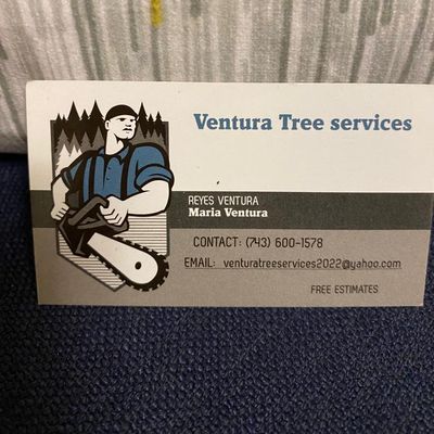 Avatar for Ventura Tree Services, LLC