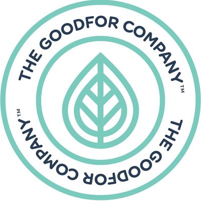 Avatar for The Goodfor Co Plumbing and Water Filtration