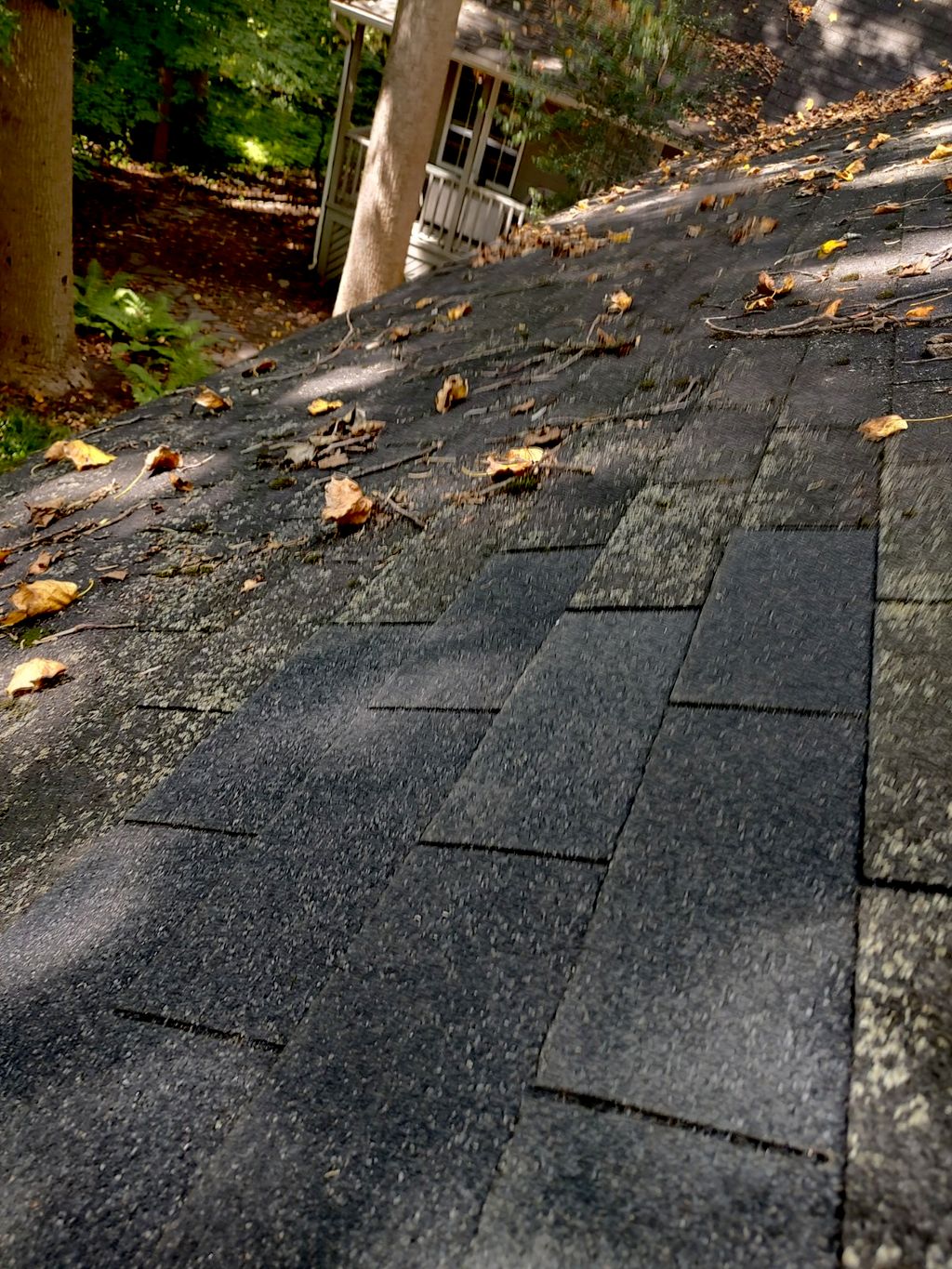 Roof Repair