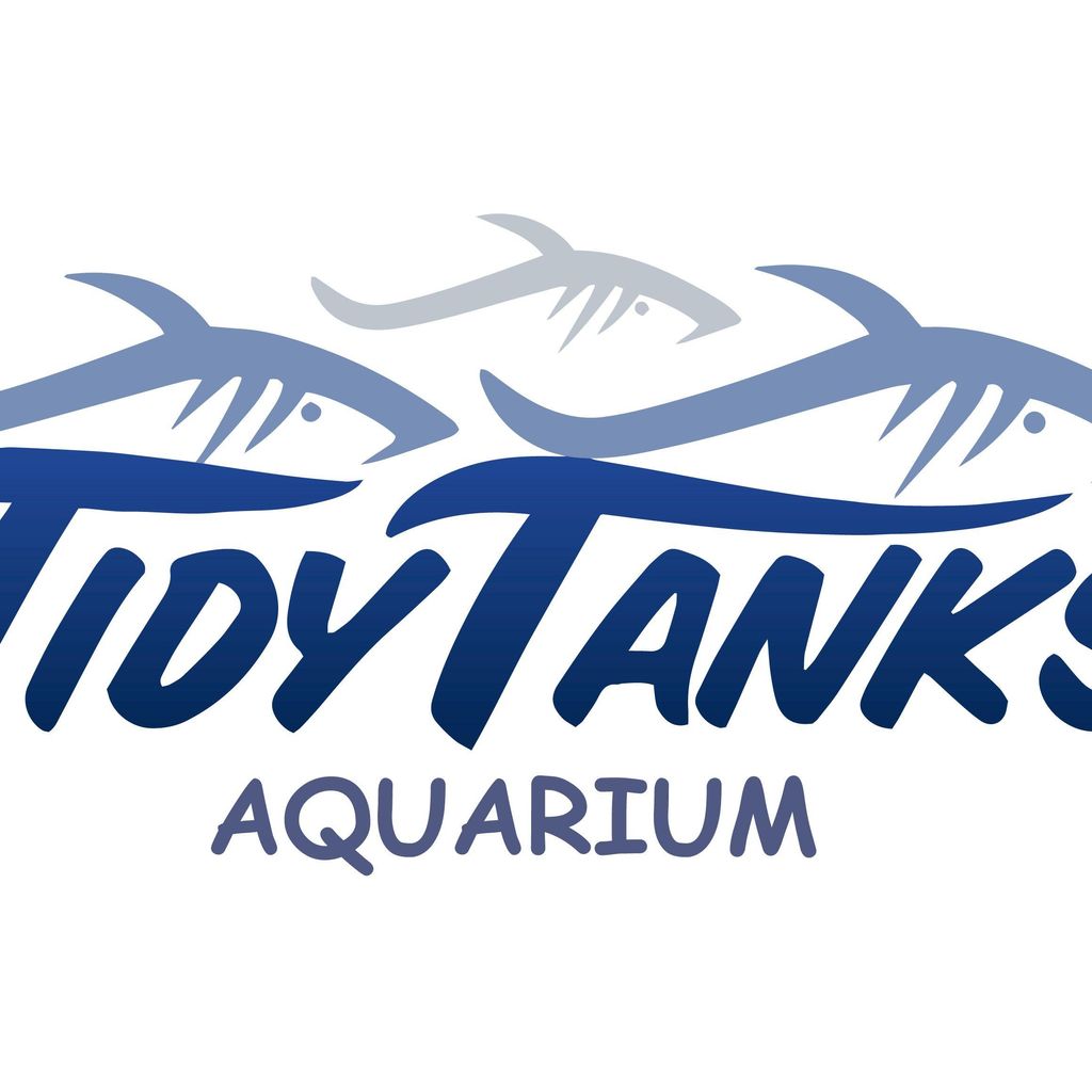 Tidy Tanks Aquarium