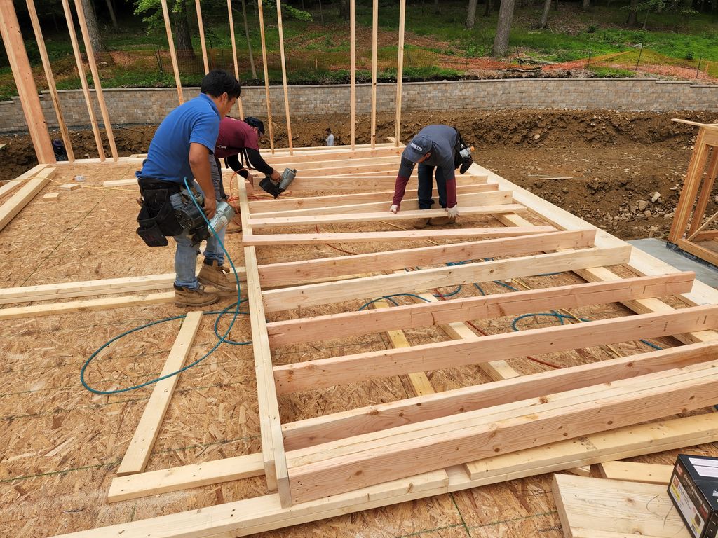 Projects and media