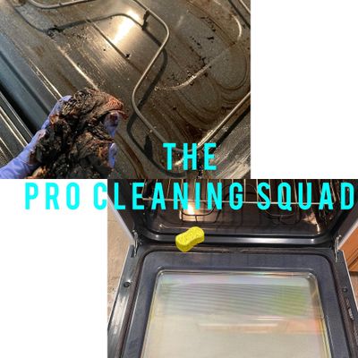 Avatar for The Pro Cleaning Squad