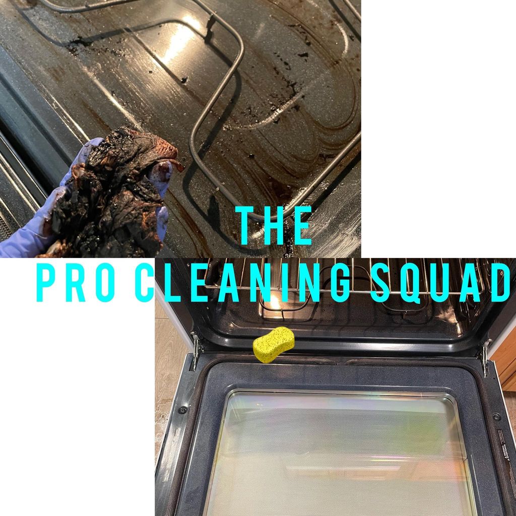 The Pro Cleaning Squad