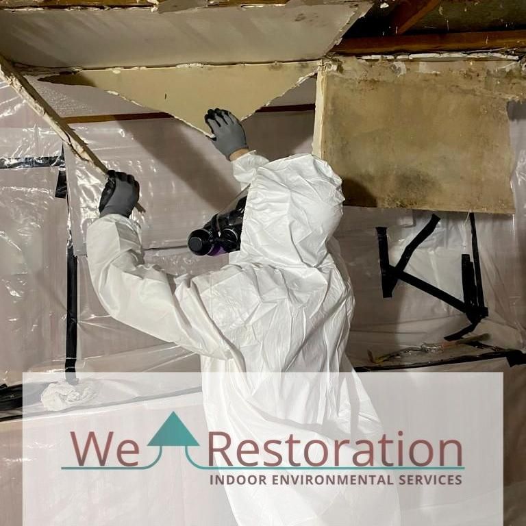 We Restoration - Mold Remediation & Water Damage