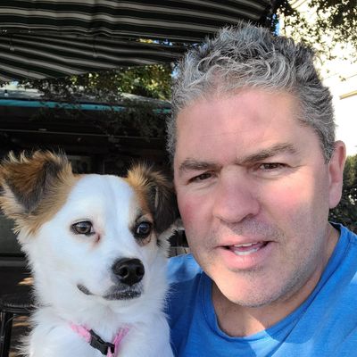 Avatar for Always Faithful Dog Training Denton&Grayson County
