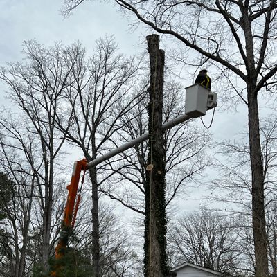 Avatar for Virginia Valley Professional Trees services LLC