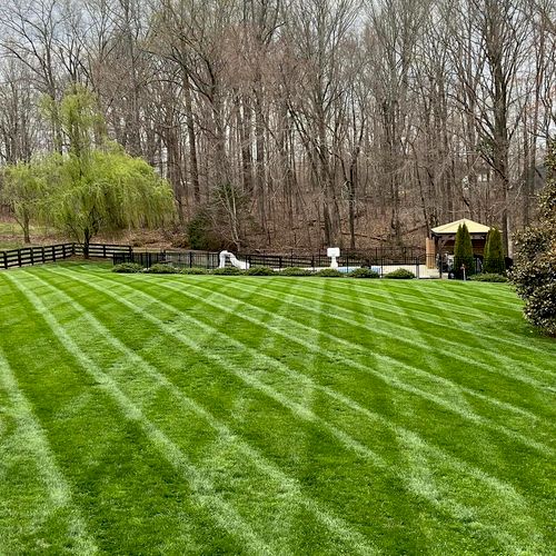 Full Service Lawn Care