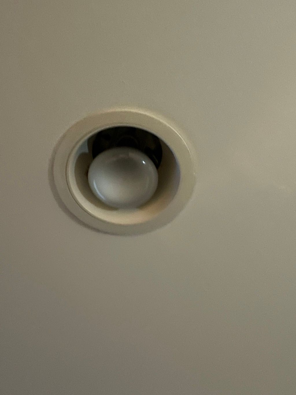 Before: Can light to soft white LED