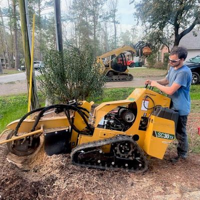 Avatar for Accurate Tree Service